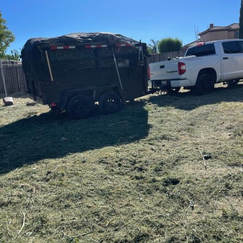 5ea44282-70a8-43d7-ba3e-288d9484c7c6