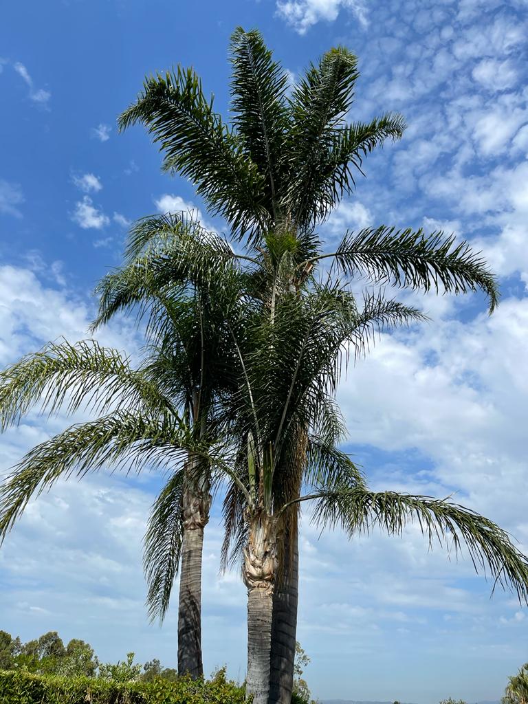 25d95045-7942-42fd-8bb1-97b54965210a