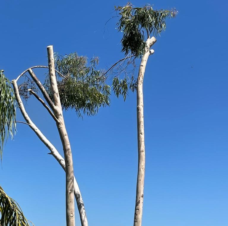 90fc09bd-5eae-4bf9-ab24-98e2f465ca9c