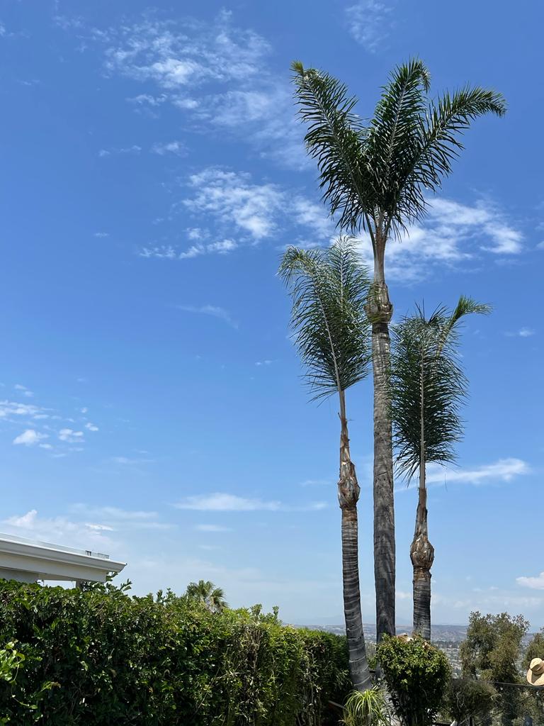 ff2dd361-0ab1-4016-afec-58143acaff12